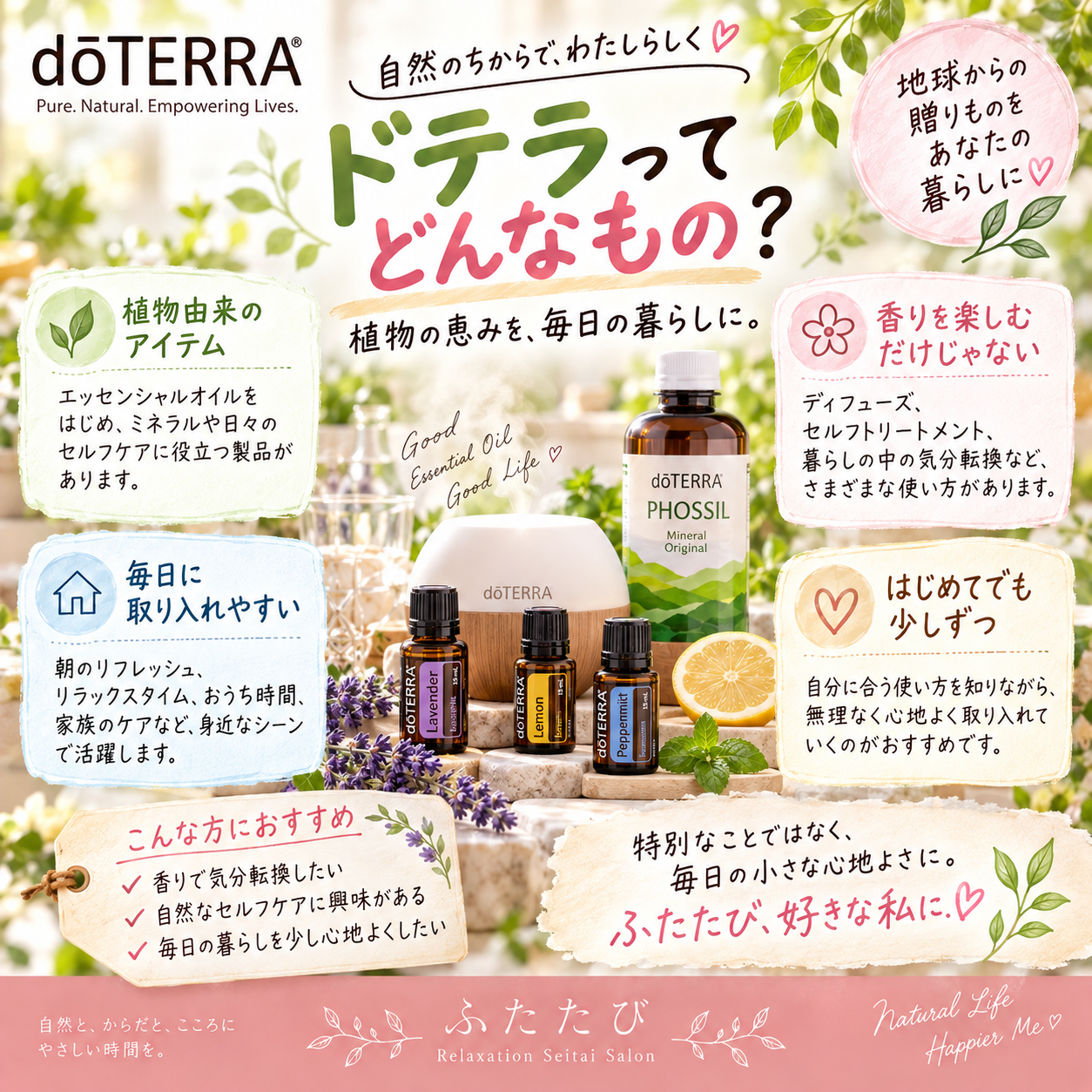 ドテラってどんなもの？